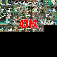 松井秀喜 ホームランカード 大量 まとめ セミコンプ 【129-188】 ※抜け有り 被りあり 画像確認の上、ご購入ください bp519 サムネイル 1