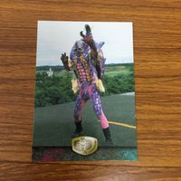 Kamen Rider V3 Card Lot Japanese Anime Trading Cards サムネイル 5