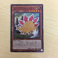 Yu-Gi-Oh Normal Trading Card Lot サムネイル 4