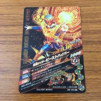 カード トレカ まとめ ガンバライジング SR ウィザード ビーストハイパー フレイムドラゴン ブレイム ランドスタイル 3 サムネイル 8