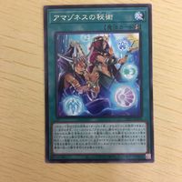 遊戯王 字レア カード トレーディングカード アマゾネスの秘術 まとめ サムネイル 5