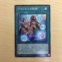 遊戯王 字レア カード トレーディングカード アマゾネスの秘術 まとめ サムネイル 4