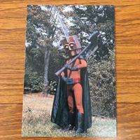 Henshin Hero Snack Card Lot Secret Task Force Gorangers サムネイル 5