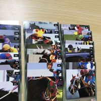 送料無料 ノーマルコンプ 102種 競馬 クラシック road to the winner 98 年度 上半期 チェックリスト 応募券 e461 0620 o15-1 サムネイル 6