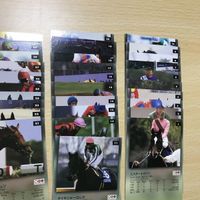 送料無料 ノーマルコンプ 102種 競馬 クラシック road to the winner 98 年度 上半期 チェックリスト 応募券 e461 0620 o15-1 サムネイル 4