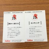 カード トレカ まとめ 新世紀 エヴァンゲリオン エヴァ カルビー 葛城 ミサト 綾波 レイ 赤木 リツコ 惣流 アスカ ラングレー 17 サムネイル 6