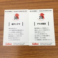 カード トレカ まとめ 新世紀 エヴァンゲリオン エヴァ カルビー 葛城 ミサト 綾波 レイ 赤木 リツコ 惣流 アスカ ラングレー 17 サムネイル 10