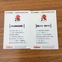 カード トレカ まとめ 新世紀 エヴァンゲリオン エヴァ カルビー 葛城 ミサト 綾波 レイ 赤木 リツコ 惣流 アスカ ラングレー 17 サムネイル 8