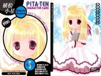 カード 【状態B】 ぴたテン まとめ 非売品 プロモ サムネイル 8