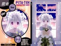 カード 【状態B】 ぴたテン まとめ 非売品 プロモ サムネイル 6