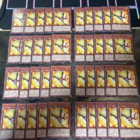 ブルーミー 40枚 型番統一 遊戯王 まとめ ノーマル INFO
