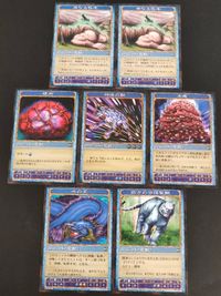 神の記述 カード まとめ ユニット(魔獣) 母なる牝牛 視肉 神速の獣 太瘡 水の王 西方の守護聖獣 7枚 K-0203-08B K-0112-14B K-0212-03B K-0112-16B K-0112-15B コナミ