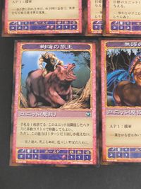 神の記述 カード まとめ ユニット(魔族) 深淵に潜む者 契約の魔神 修験者の長 猿族の将軍 象頭の将軍 輝く骸骨 樹海の熊王 無謬の射手 極みの追跡者 不明 10枚 K-0203-016 K-0212-037 コナミ TCG サムネイル 4
