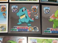 ポケモン ポケットモンスター アドバンスジェネレーション カードダス カード まとめ コレクション ワニノコ ヒノアラシ ヒトカゲ ブイゼル ユキノオー ヌマクロー ミズゴロウ メガニウム ハッサム チコリータ 14枚 496 サムネイル 3