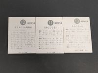 Kamen Rider V3 Carddass 3 Cards Lot No.10 11 12 Japanese TV サムネイル 2
