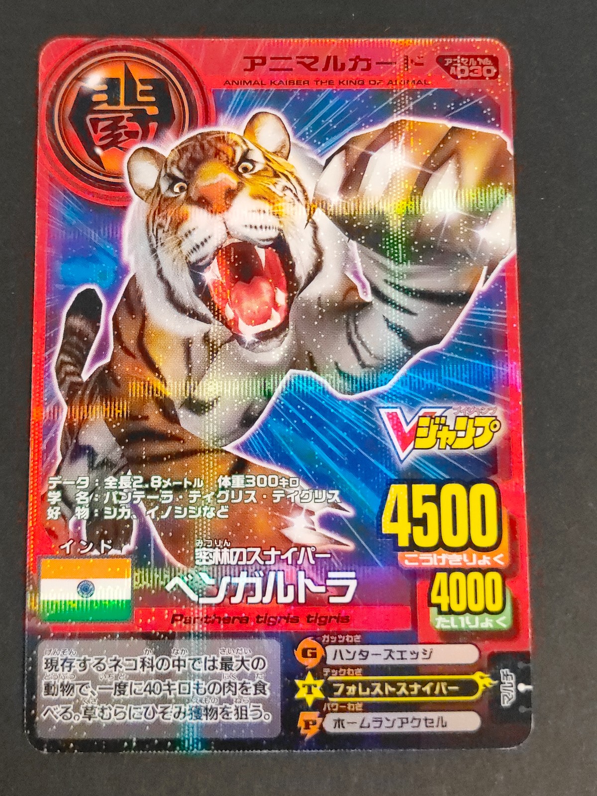 百獣大戦 アニマルカイザー カード ベンガルトラ トレカ S20A-030 バンダイナムコ アーケード