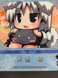 東方雅華乱舞 トレーディング カード まとめ 稗田阿求 村紗水蜜 犬走椛 橙 4枚 GA6022 GA5085 A5069 GA1049 Surfersparadise 同人トレーディング サムネイル 3