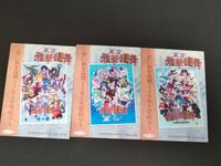 東方雅華乱舞 TRADING CARD カード まとめ プロモ 東方雅華乱舞 冬の章 東方雅華乱舞 2020年夏の章 東方雅華乱舞 2009年夏の章 3枚 GA7100P GA7099P GA7101P 同人トレーディング サムネイル 5
