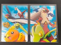 Pokemon Adventure Card 011 012 Treecko Taillow Ash 2 Cards Japanese Anime