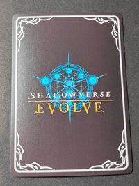 シャドバEV Shadowverse EVOLVE カード 空絶の顕現 オクトリス トレカ BP20-SL05 SL Cygames サムネイル 2