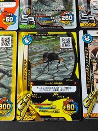 甲虫王者ムシキング カード まとめ おたすけ ムシ きろく クマバチ フォルスタータマムシクワガタ スイレン メキシカンレッドニータランチュラ アラガールホソアカクワガタ ハナカマキリ ギラファノコギリクワガタ オオベッコウバチ サムネイル 3