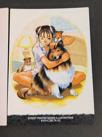 ALL CAPCOM WORLD カードダスマスターズ カード まとめ STREET FIGHTER ZERO STREET FIGHTER ZERO2 SERIES ILLUSTRATIONS 春麗 2枚 #19 #49 サムネイル 2
