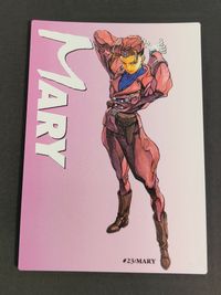 オールカプコンワールド ALL CAPCOM WORLD カードダスマスターズ カード マリー ミヤビ トレカ 23 バンダイ カードダス サムネイル 1