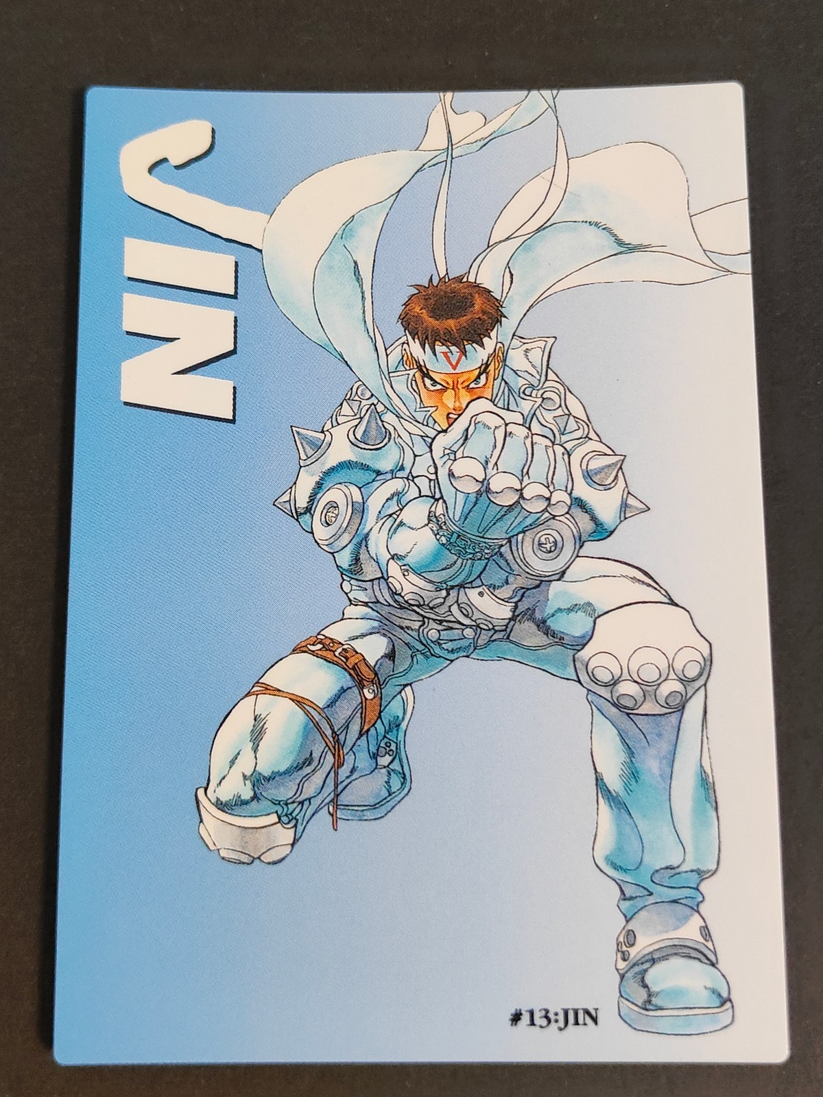 カプコンワールド ALL CAPCOM WORLD カードダスマスターズ ジン サオトメ トレカ #13 バンダイ カードダス