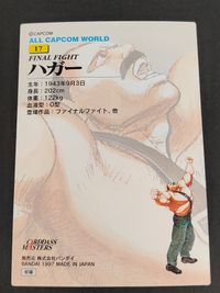 ALL CAPCOM WORLD カードダスマスターズ カード ハガー トレカ #17 バンダイ 食玩 カードダス サムネイル 2