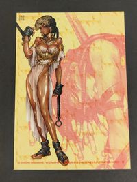 ワイルドウェットクエスト WILD WET QUEST 士郎正宗 カード ファーラ ロリン トレカ GALGREASE 2nd SERIES ILLUSTRATION CARDS: 12 講談社 イラスト サムネイル 2