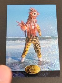 Kamen Rider Amada Carddass Card #083 Isogin Jaguar Holo Japanese TV サムネイル 1