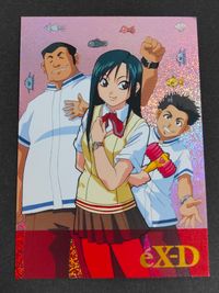 eX-D eX-Driver Card SP6 Holo Japanese Anime