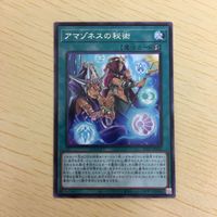 遊戯王 字レア カード トレーディングカード アマゾネスの秘術 まとめ サムネイル 4