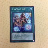 遊戯王 字レア カード トレーディングカード アマゾネスの秘術 まとめ サムネイル 3