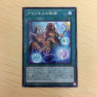 遊戯王 字レア カード トレーディングカード アマゾネスの秘術 まとめ サムネイル 5