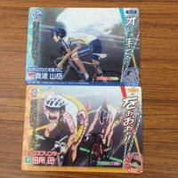 トレカ カード まとめ 弱虫ペダル トレペダ 真波 山岳 田所 迅 今泉 俊輔 泉田 塔一郎 石垣 光太郎 ラブ ヒメ 鳴子 章吉 35 サムネイル 3