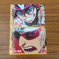 トレカ カード まとめ 弱虫ペダル トレペダ 真波 山岳 田所 迅 今泉 俊輔 泉田 塔一郎 石垣 光太郎 ラブ ヒメ 鳴子 章吉 35 サムネイル 9