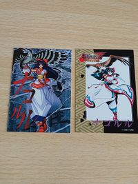 サムライスピリッツ ナコルル トレーディングカード ゲーマーズ サムスピ 侍魂