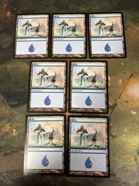 希少 簡体字版 神河物語 島/Island 7枚 型番統ー まとめ MTG 人気絵柄 基本土地 多言語 中国語 CHK