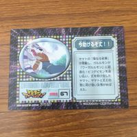 カード トレカ まとめ デジモン アドベンチャー アマダ 今助けるぞ丈 子供達の紋章はいただきだ 48 サムネイル 8