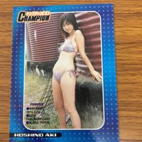 ヤングチャンピオン カード まとめ グラビア アイドル ほしのあき 28 サムネイル 7