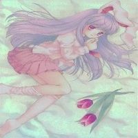 カード 東方雅華乱舞 まとめ ★すべて キラ 東方 鈴仙 イナバ アリス マーガトロイド 稗田 阿求 永江 衣玖 サムネイル 3