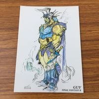 カード トレカ まとめ ファイナル ファンタジー FF 天野 喜考 ガイ フリオニール レイラ ヨーゼフ 28 サムネイル 7