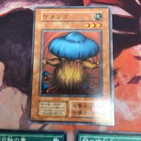マタンゴ 闇の護封剣 皆既日蝕の書 ノーマル まとめ クシャトリラ 対策 遊戯王 初期 サムネイル 2