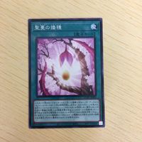 遊戯王 ノーマル カード トレーディングカード 聖蔓の播種 まとめ サムネイル 2
