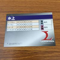 Langrisser Card Lot Luna Sophia Farna Broccoli サムネイル 10