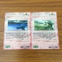 カード トレカ まとめ ファイナル ファンタジー FF ブラザーズ ディアボロス エデン トンベリ グラシャラボラス オーディン 1 サムネイル 4