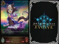 カード まとめ シャドウバース エボルヴ LG ウマ娘 スペシャルウィーク ライスシャワー キラ サムネイル 2