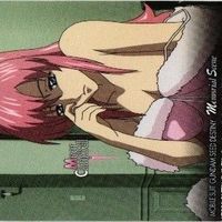 【状態B】ミーアキャンベル ステラ ルナマリア ガンダムSEED シード カードダスマスターズ カード まとめ