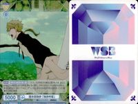カード 文豪ストレイドッグス 文スト R レア まとめ 国木田独歩 ニコライ G 独歩吟客 外套 ヴァイスシュヴァルツブラウ キラ ヴァイス サムネイル 9
